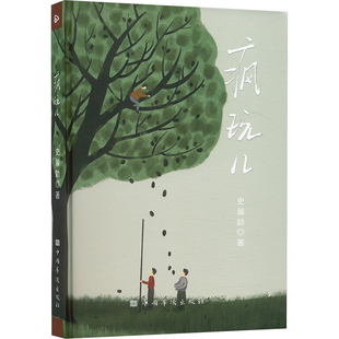 疯玩儿 中国华侨出版社 史瀚勍 著 中国近代随笔