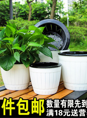 室内自动懒人免浇灌水培花盆木桶