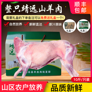 靖远羊羔肉甘肃散养山羊羔肉新鲜整只烤全羊10斤山羊肉生羊肉现杀