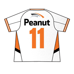 HLE战队服peanut同款LCK春季赛S14反光汽车贴纸车门身贴后玻璃贴