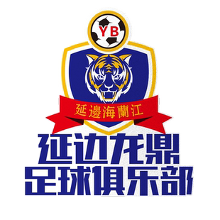 延边龙鼎队足球迷纪念反光电动车摩托车汽车贴纸车门车身后玻璃贴