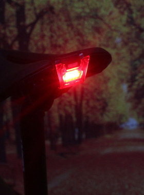 捷安特尾灯APPROACH/FLEET SL坐垫尾灯 山地车公路自行车短鼻尾灯