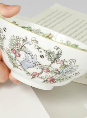 日本正品noritake宫崎骏龙猫漫画卡通插画骨瓷小碗米饭碗汤盘礼盒