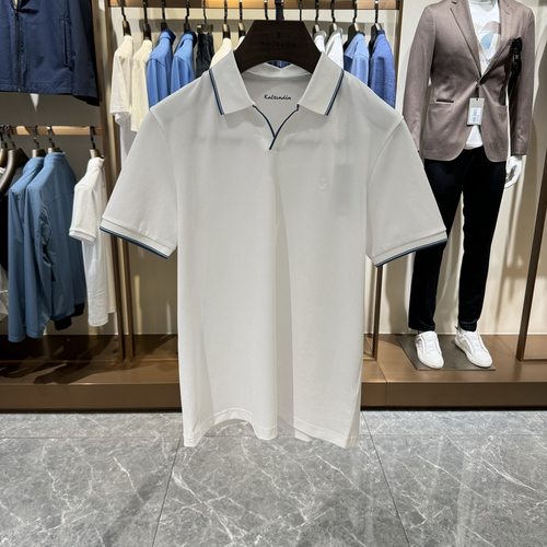 卡尔丹顿男装24春夏新款翻领短袖T恤多色可选AE5S00104FA吊牌1980