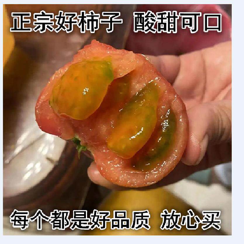 辽宁草莓柿子草莓西红柿大连丹东草莓柿子番茄酸甜绿腚水果西红柿