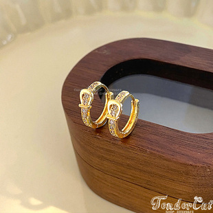 Cubic Ring Earrings 欧美法式皮带扣环造型镶钻插扣圆环耳环