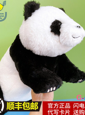 日本进口 正版Sunlemon膝上动物朋友 趴趴熊猫 柔软仿真毛绒动物