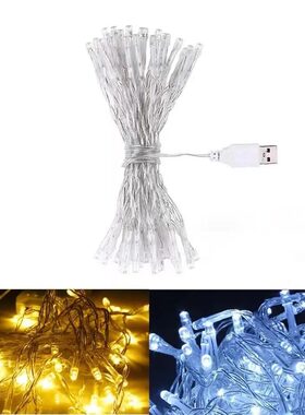 LED 灯串灯带USB供电室内外防水灯绳圣诞节儿童节婚礼园艺装饰