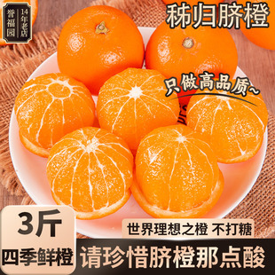 三峡脐橙纽荷尔摆摊榨汁橙子专用批发商用秭归新鲜水果蜜雪同款斤