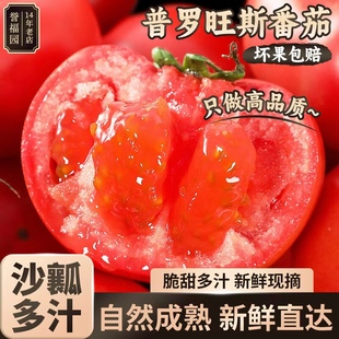 包邮 源头直发 净重9斤单果1400g新鲜番茄当季 山东普罗旺斯西红柿