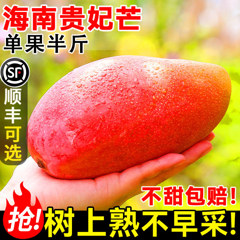 海南贵妃芒新鲜芒果应当季水果树上熟红金龙辣椒芒甜心芒大果包邮