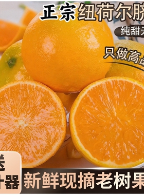 秭归脐橙带箱5斤单果80-90mm送礼彩箱送榨汁器