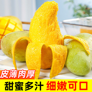 海南金煌芒9斤正宗当季甜水仙芒热带水果新鲜大芒果整箱青忙果10