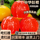新鲜整箱雪甜橙果冻手剥9斤水果 正宗血橙中华红心橙当季 顺丰