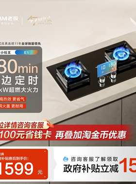 [小灶王]老板定时燃气灶家用双灶猛火灶E1天然气煤气灶台官方旗舰