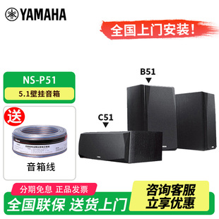 C51 Yamaha P51 B51家庭影院5.1音响壁挂卫星环绕音箱 雅马哈