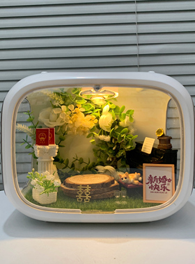 lookup小屋场景盲盒展示盒太空舱手办娃屋造景素材包装饰婚礼场景