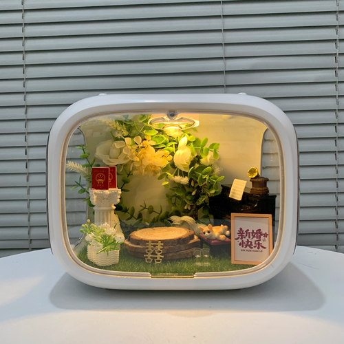 lookup小屋场景盲盒展示盒