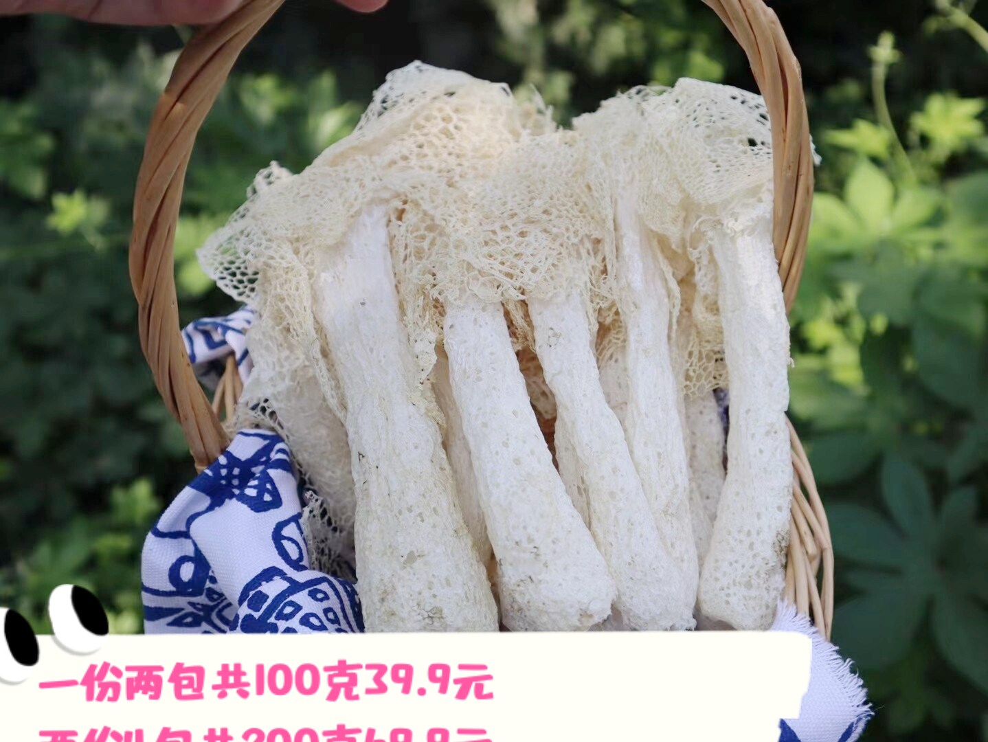 古田竹荪新货农家自产无硫食用菇菌干货长裙竹荪100克古田特产