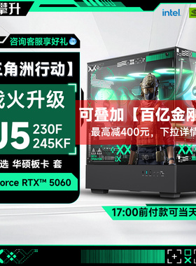 攀升台式电脑主机i5 14490F/14600K/i7 14790F/华硕5060主机/5060Ti三角洲游戏办公电脑主机台式电脑整机全套