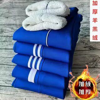 冬季加厚羊羔绒校裤宝蓝色