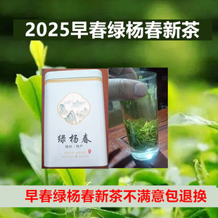 2025新茶绿杨春早春茶叶礼盒100g扬州仪征绿茶扬阳春