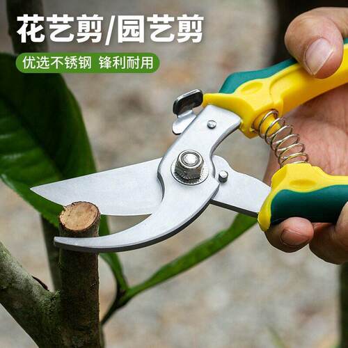 不锈钢修枝剪园林摘果剪果树粗枝剪刀园艺花卉嫁接专用剪刀工具