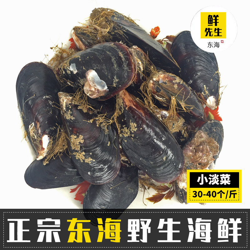 温州苍南海鲜鲜活水产贝类淡菜海红贻贝青口贝新鲜海贝烧烤2斤装