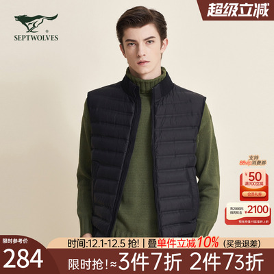 羽绒秋季中年立领夹克外套背心