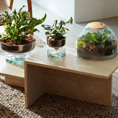 LSA英国进口创意插花瓶水培花器