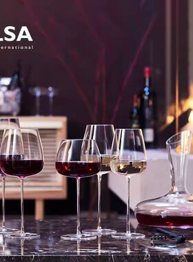 进口英国LSA Wine Culture高脚水晶玻璃酒杯轻奢勃艮第杯红酒杯