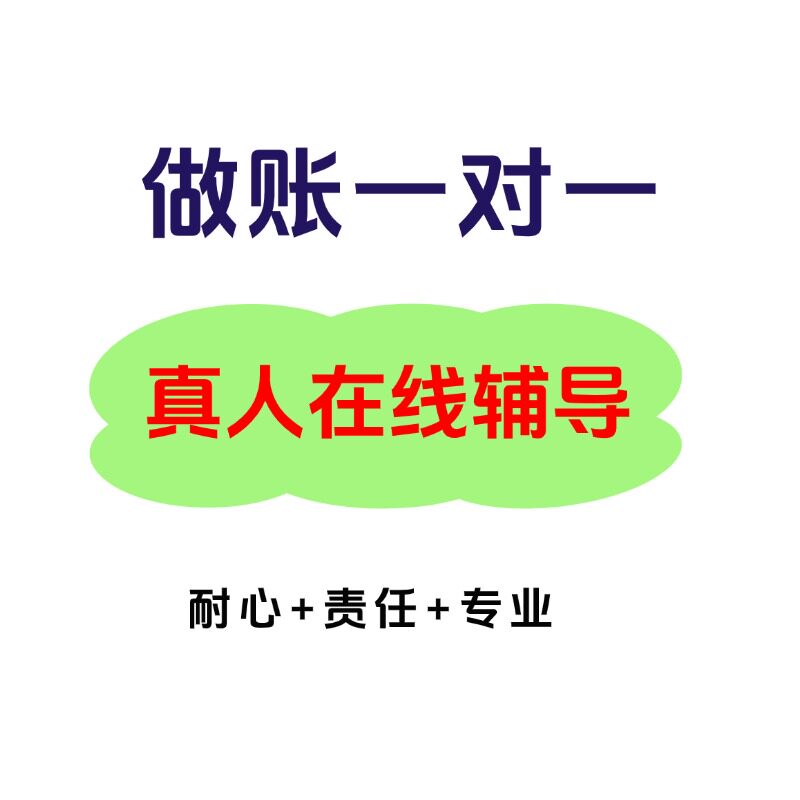 做账报税一对一指导/小规模纳税人/一般纳税人/月报季报/年报咨询