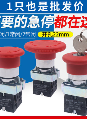 CHNT正泰紧急急停按钮开关控制盒自锁BS542停止带钥匙NP2常闭22mm
