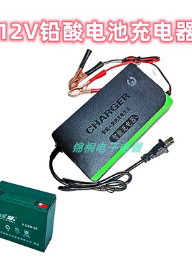 汽车电瓶充电器12V20AH45AH60A蓄电池摩托车充电器智能全自动32AH