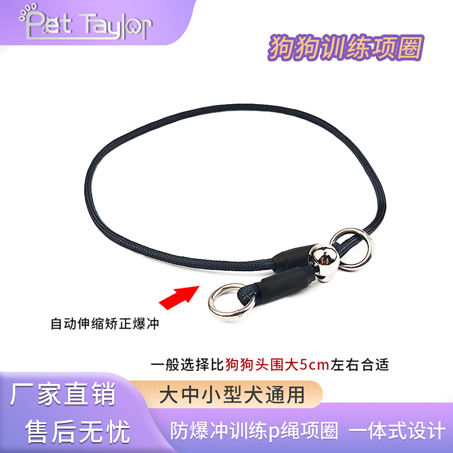狗项圈P链小型犬宠物项圈