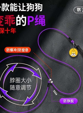 狗狗牵引绳防爆冲p绳小狗项圈狗链p链大型犬遛狗p字绳小型犬狗绳
