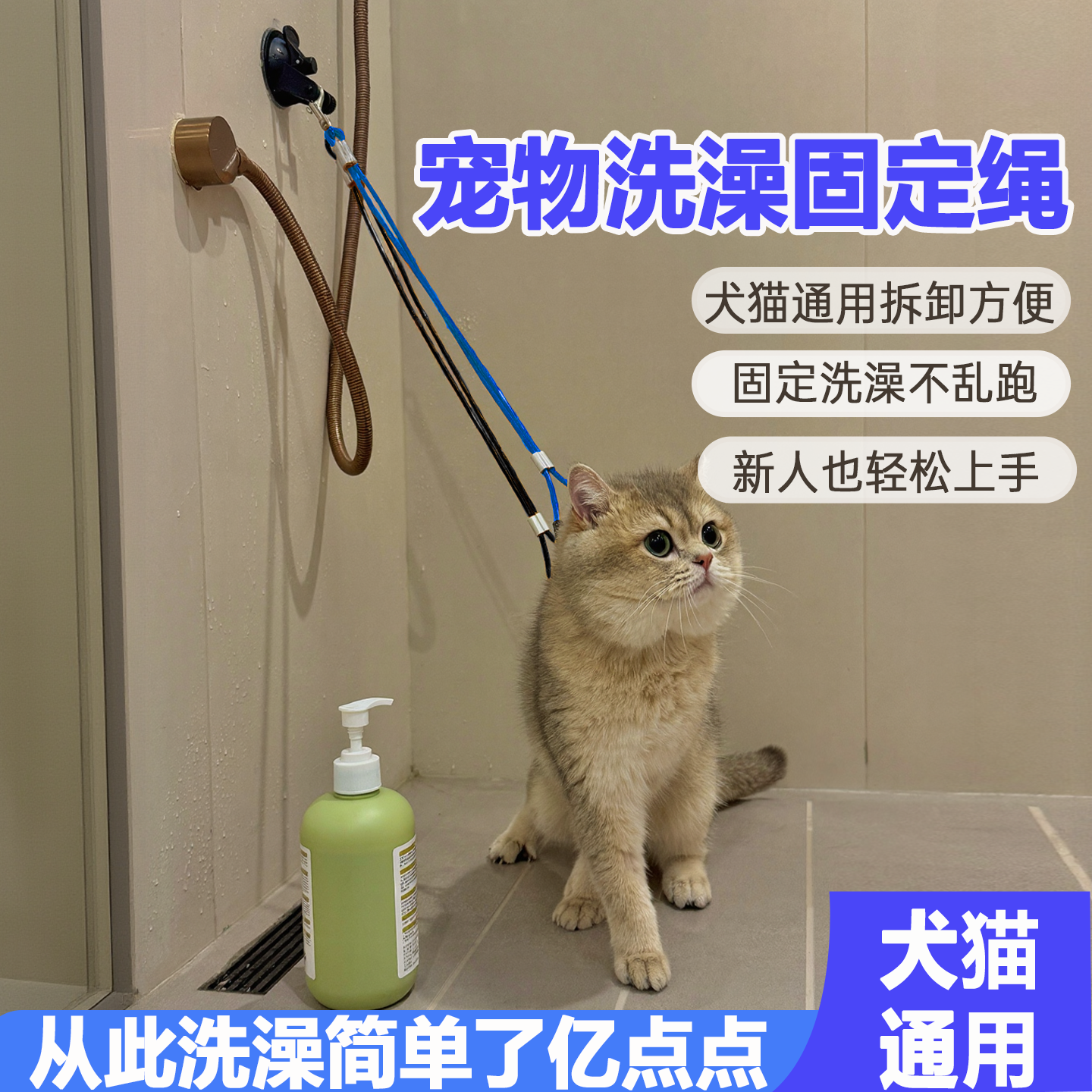 猫咪洗澡固定器美容神器美容台洗澡绳防跑防抓咬宠物吊绳挂绳吸盘,宠物/宠物食品及用品,其他美容护理用品,淘宝优惠券,粉丝福利购,淘宝优惠卷