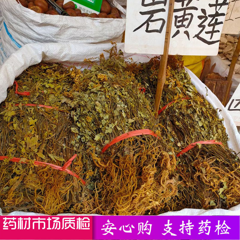 2021广西野生药材岩黄连新货岩黄莲干岩胡 岩连250克包邮可代打粉