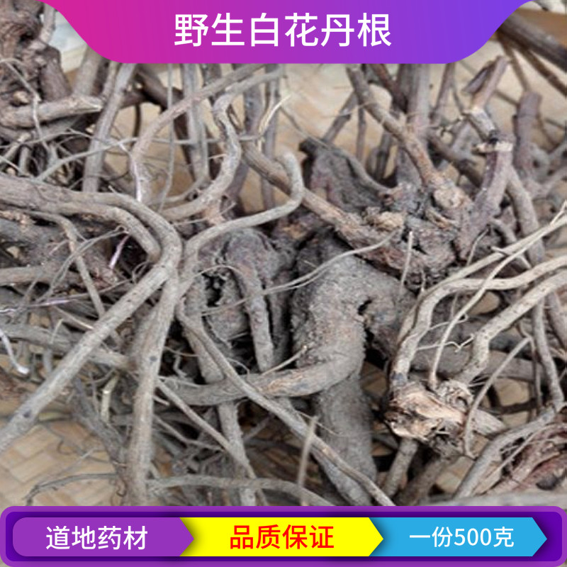 独立野生白花丹根 全根白花丹 一见消根 百花丹根 白雪花包邮