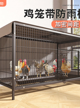 【室外防雨】加密防黄鼠狼！鸡笼