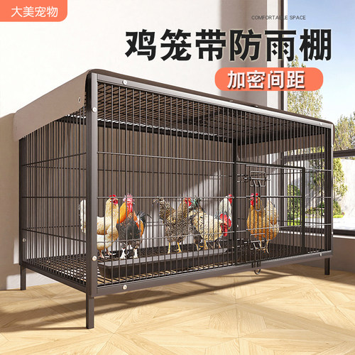 【室外防雨】加密防黄鼠狼！鸡笼