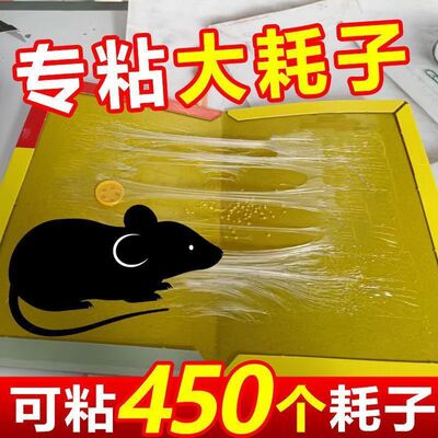 【抢实惠】加大加厚超黏粘老鼠板