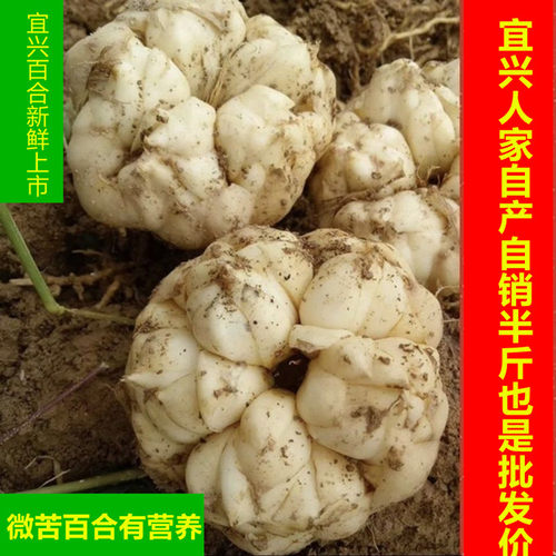 2026年宜兴新鲜百合糯食用散装