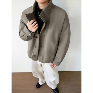 模特图~新标90白鸭绒冬季拼料立领美式羽绒服外套 E125/P278图片