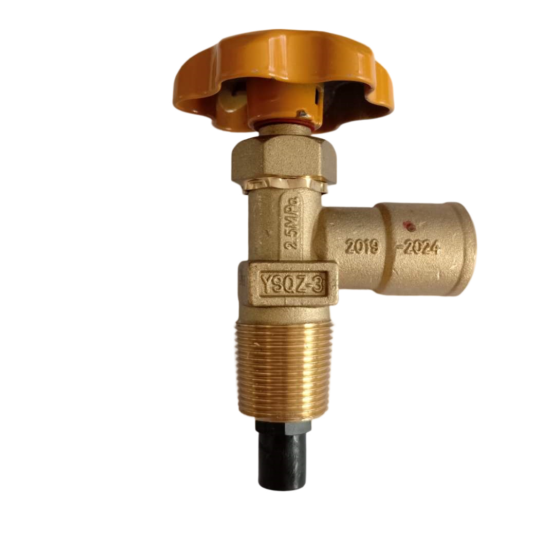 液化气钢瓶角阀新国标两用枪煤气罐瓶嘴阀杆阀芯15kg钢瓶自闭阀门