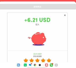 国内外海外问卷调查渠道站点查创业项目教程＋一对一远程搭建指导