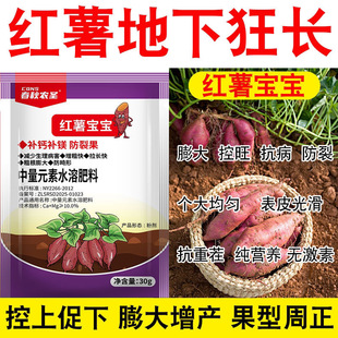 红薯宝宝番薯宝宝正品进口快速膨大素防裂果专用补钙补镁控上促下