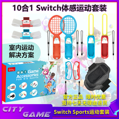 任天堂NSsports体感套装10合1
