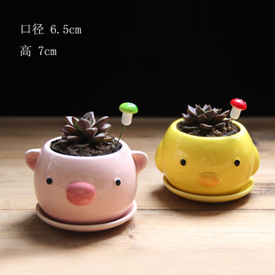 多肉花盆可爱小黄鸭小熊陶瓷花盆创意卡通花盆不带植物绿植园艺包