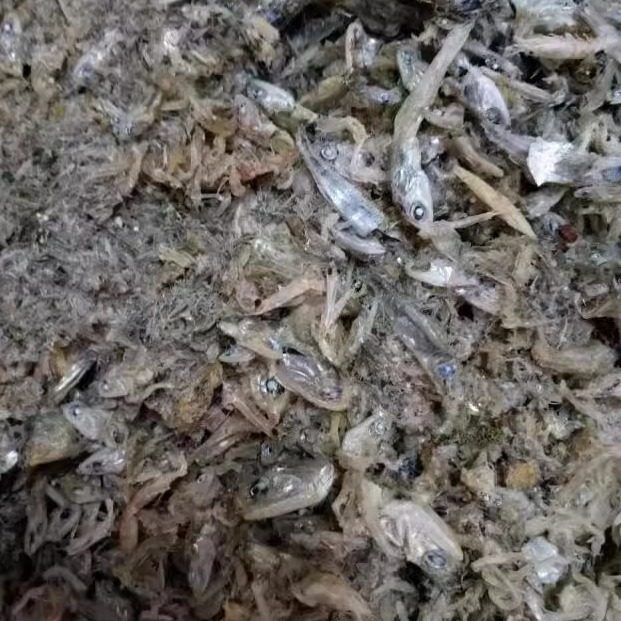 鱼粉鱼骨粉高钙宠物仓鼠猫狗粮鸟鸡鸭鹅猪家禽饲料补钙鱼渣500克,水产肉类/新鲜蔬果/熟食,鱼干,淘宝优惠券,粉丝福利购,淘宝优惠卷